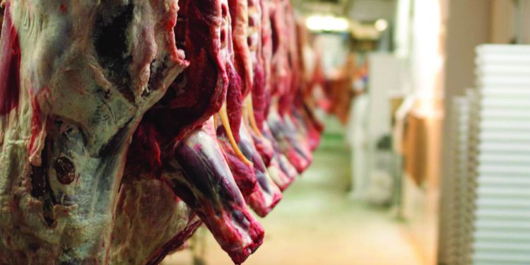 Industria përpunuese në mbijetesë!