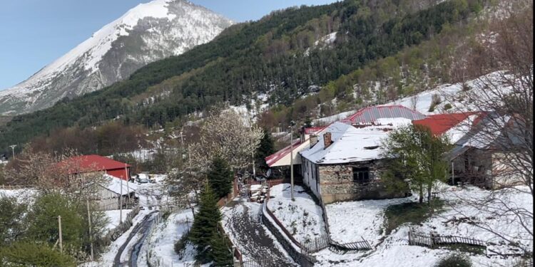 Dëborë në pranverë në Gramsh