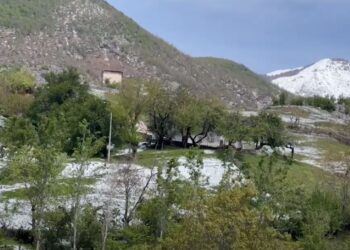 Bora shkaktoi dëme në bujqësi në gjithë Dibrën dhe Bulqizën
