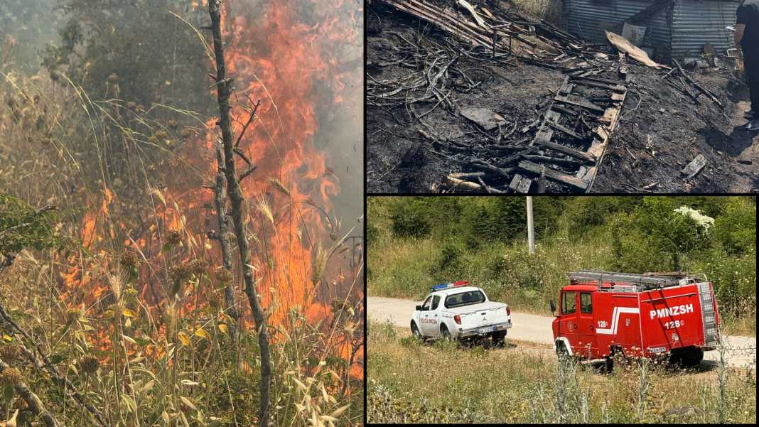 Zjarri shkrumbon 3 ha kullotë në Gjirokastër  rrezikohet një banesë